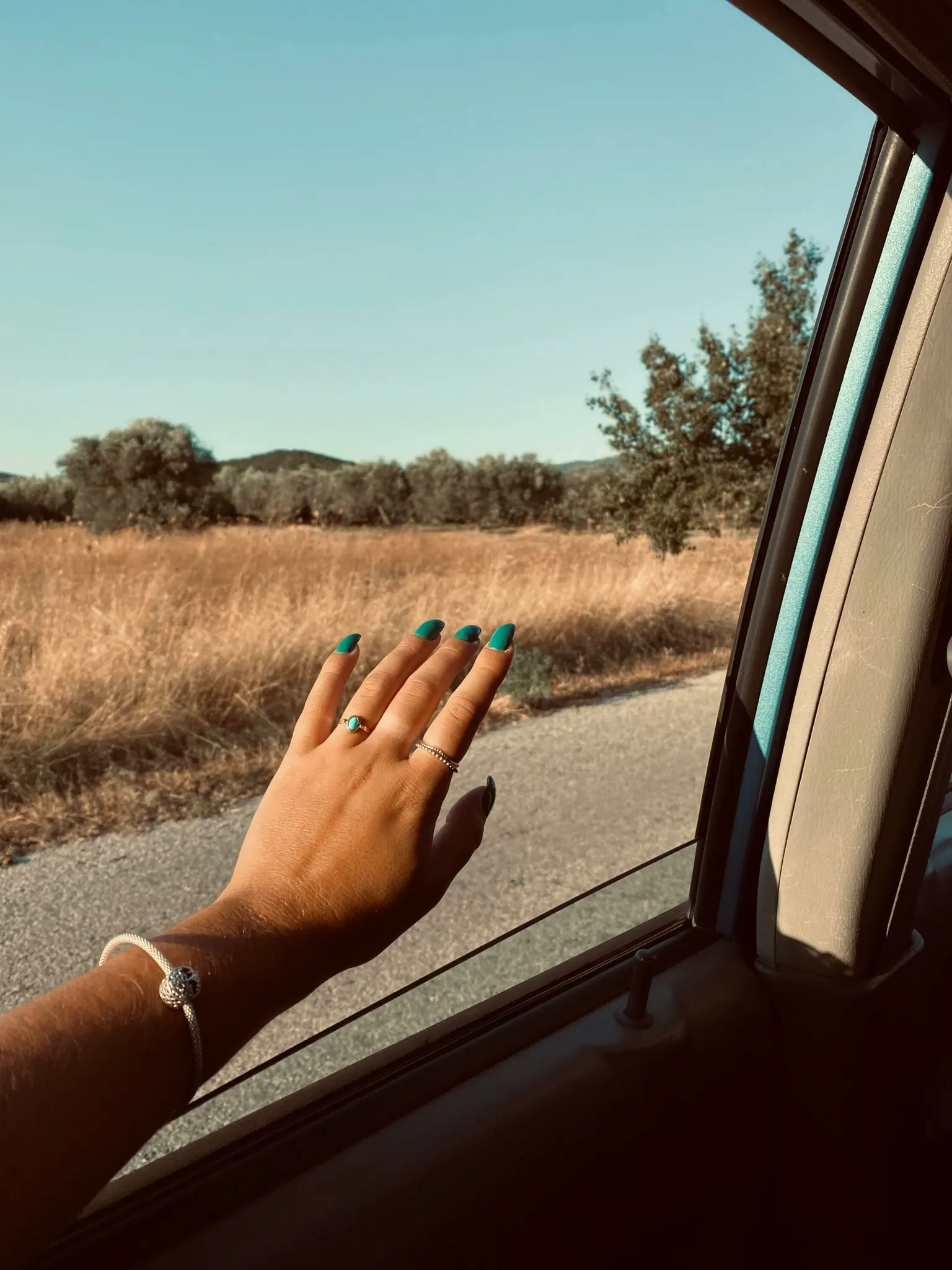 Main tendue par la fenêtre d’une voiture face au paysage