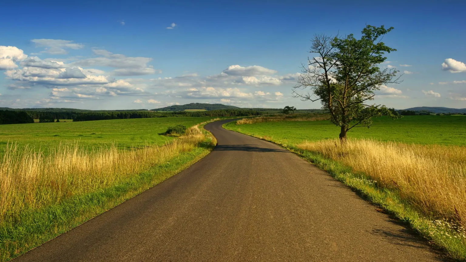 Route de campagne rectiligne bordée de champs